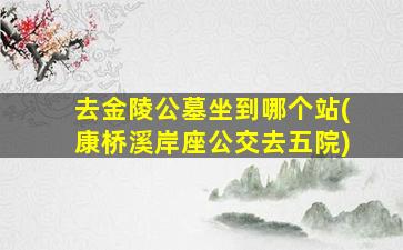 去金陵公墓坐到哪个站(康桥溪岸座公交去五院)