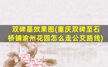 双碑墓效果图(重庆双碑至石桥铺渝州花园怎么走公交路线)