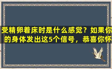 受精卵着床时是什么感觉？如果你的身体发出这5个信号，恭喜你怀孕了