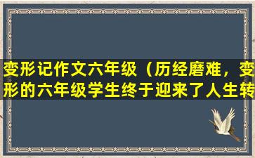 变形记作文六年级（历经磨难，变形的六年级学生终于迎来了人生转折点）