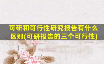 可研和可行性研究报告有什么区别(可研报告的三个可行性)