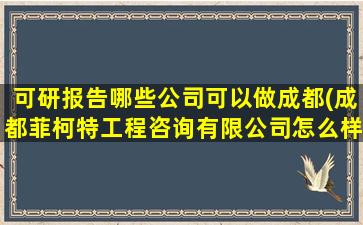 可研报告哪些公司可以做成都(成都菲柯特工程咨询有限公司怎么样)