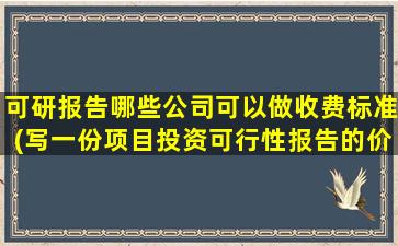 可研报告哪些公司可以做收费标准(写一份项目投资可行性报告的价格是多少)