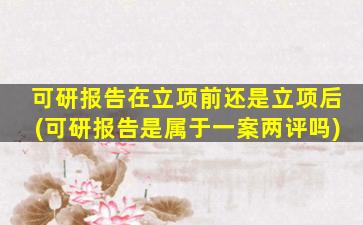 可研报告在立项前还是立项后(可研报告是属于一案两评吗)