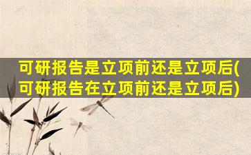 可研报告是立项前还是立项后(可研报告在立项前还是立项后)