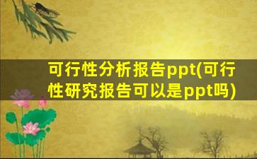 可行性分析报告ppt(可行性研究报告可以是ppt吗)