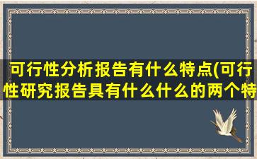 可行性分析报告有什么特点(可行性研究报告具有什么什么的两个特点)