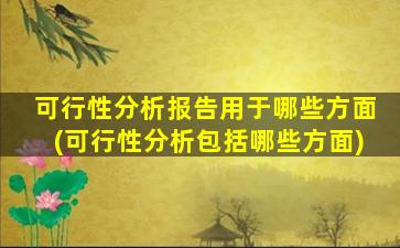 可行性分析报告用于哪些方面(可行性分析包括哪些方面)