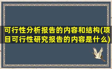 可行性分析报告的内容和结构(项目可行性研究报告的内容是什么)
