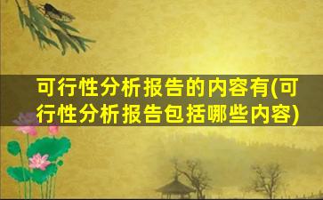可行性分析报告的内容有(可行性分析报告包括哪些内容)