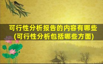可行性分析报告的内容有哪些(可行性分析包括哪些方面)