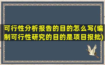 可行性分析报告的目的怎么写(编制可行性研究的目的是项目报批)