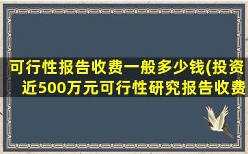 可行性报告收费一般多少钱(投资近500万元可行性研究报告收费标准)