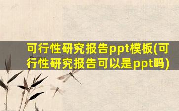 可行性研究报告ppt模板(可行性研究报告可以是ppt吗)