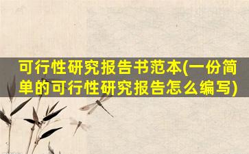 可行性研究报告书范本(一份简单的可行性研究报告怎么编写)