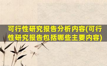 可行性研究报告分析内容(可行性研究报告包括哪些主要内容)