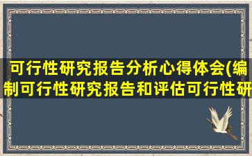 可行性研究报告分析心得体会(编制可行性研究报告和评估可行性研究报告有什么不一样)