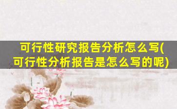 可行性研究报告分析怎么写(可行性分析报告是怎么写的呢)