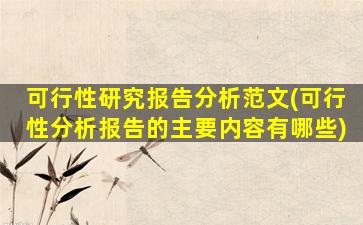 可行性研究报告分析范文(可行性分析报告的主要内容有哪些)