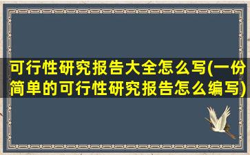 可行性研究报告大全怎么写(一份简单的可行性研究报告怎么编写)