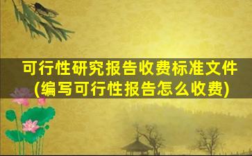 可行性研究报告收费标准文件(编写可行性报告怎么收费)