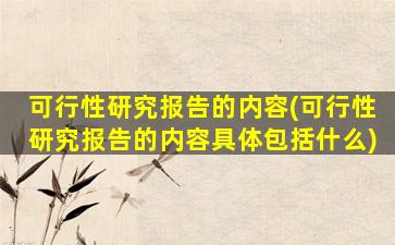 可行性研究报告的内容(可行性研究报告的内容具体包括什么)