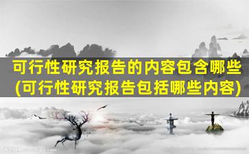 可行性研究报告的内容包含哪些(可行性研究报告包括哪些内容)