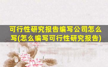 可行性研究报告编写公司怎么写(怎么编写可行性研究报告)