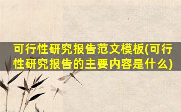 可行性研究报告范文模板(可行性研究报告的主要内容是什么)