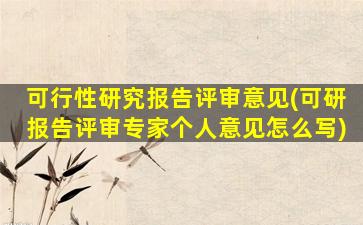 可行性研究报告评审意见(可研报告评审专家个人意见怎么写)