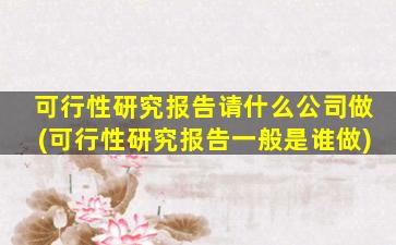 可行性研究报告请什么公司做(可行性研究报告一般是谁做)