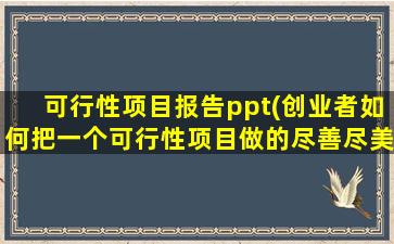 可行性项目报告ppt(创业者如何把一个可行性项目做的尽善尽美投入投资平台)