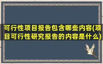 可行性项目报告包含哪些内容(项目可行性研究报告的内容是什么)
