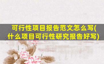 可行性项目报告范文怎么写(什么项目可行性研究报告好写)