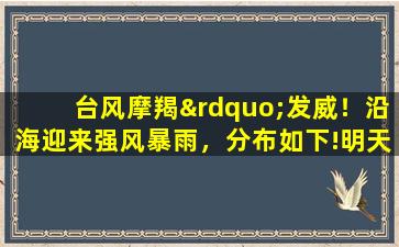台风摩羯”发威！沿海迎来强风暴雨，分布如下!明天5～6号天气