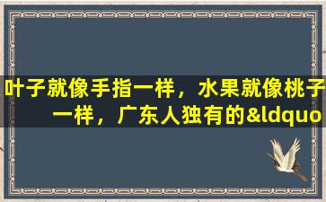 叶子就像手指一样，水果就像桃子一样，广东人独有的“人参”很少见，因为他们经常被挖出。