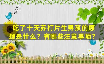 吃了十天苏打片生男孩的原理是什么？有哪些注意事项？