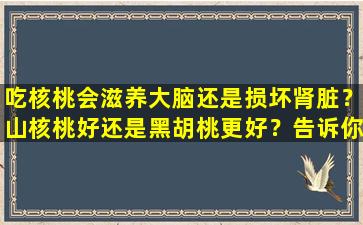 吃核桃会滋养大脑还是损坏肾脏？山核桃好还是黑胡桃更好？告诉你答案