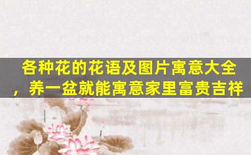 各种花的花语及图片寓意大全，养一盆就能寓意家里富贵吉祥
