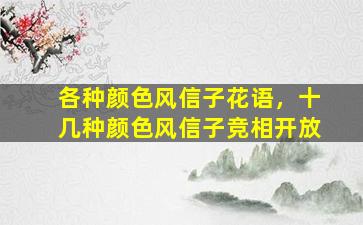 各种颜色风信子花语，十几种颜色风信子竞相开放