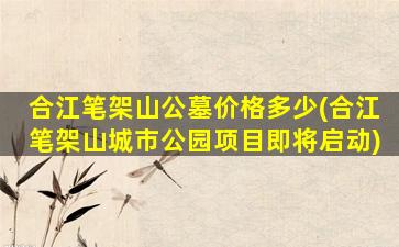 合江笔架山公墓价格多少(合江笔架山城市公园项目即将启动)
