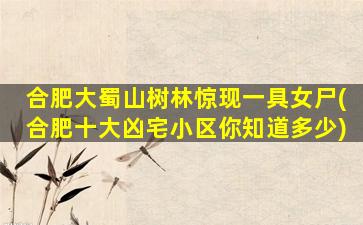 合肥大蜀山树林惊现一具女尸(合肥十大凶宅小区你知道多少)
