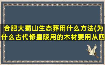 合肥大蜀山生态葬用什么方法(为什么古代修皇陵用的木材要用从四川运过来)