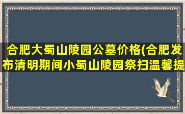 合肥大蜀山陵园公墓价格(合肥发布清明期间小蜀山陵园祭扫温馨提示)