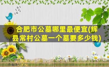 合肥市公墓哪里最便宜(辉县常村公墓一个墓要多少钱)