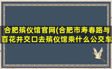 合肥殡仪馆官网(合肥市寿春路与百花井交口去殡仪馆乘什么公交车)