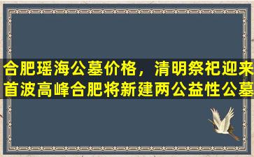 合肥瑶海公墓价格，清明祭祀迎来首波高峰合肥将新建两公益性公墓
