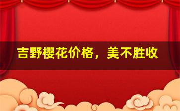 吉野樱花价格，美不胜收
