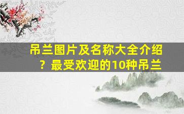 吊兰图片及名称大全介绍？最受欢迎的10种吊兰