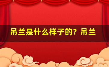 吊兰是什么样子的？吊兰